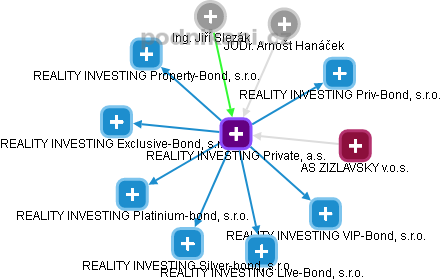 REALITY INVESTING Private, a.s. - náhled vizuálního zobrazení vztahů obchodního rejstříku