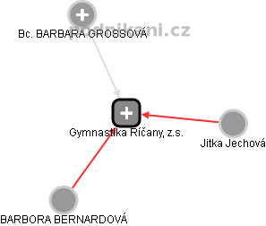 Gymnastika Říčany, z.s. - náhled vizuálního zobrazení vztahů obchodního rejstříku