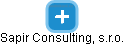 Sapir Consulting, s.r.o. - náhled vizuálního zobrazení vztahů obchodního rejstříku