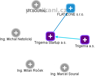 Trigema Startup a.s. - náhled vizuálního zobrazení vztahů obchodního rejstříku