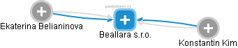Beallara s.r.o. - náhled vizuálního zobrazení vztahů obchodního rejstříku