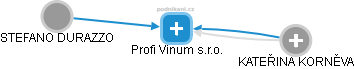 Profi Vinum s.r.o. - náhled vizuálního zobrazení vztahů obchodního rejstříku