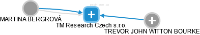 TM Research Czech s.r.o. - náhled vizuálního zobrazení vztahů obchodního rejstříku