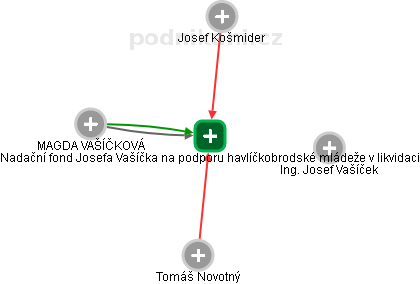 Nadační fond Josefa Vašíčka na podporu havlíčkobrodské mládeže v likvidaci - náhled vizuálního zobrazení vztahů obchodního rejstříku