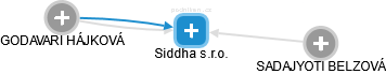 Siddha s.r.o. - náhled vizuálního zobrazení vztahů obchodního rejstříku