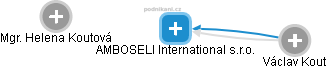 AMBOSELI International s.r.o. - náhled vizuálního zobrazení vztahů obchodního rejstříku