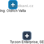 Tycoon Enterprise, SE - náhled vizuálního zobrazení vztahů obchodního rejstříku