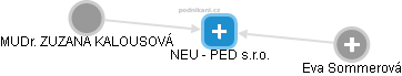 NEU - PED s.r.o. - náhled vizuálního zobrazení vztahů obchodního rejstříku