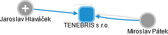 TENEBRIS s.r.o. - náhled vizuálního zobrazení vztahů obchodního rejstříku