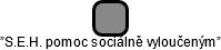 ”S.E.H. pomoc sociálně vyloučeným” - náhled vizuálního zobrazení vztahů obchodního rejstříku