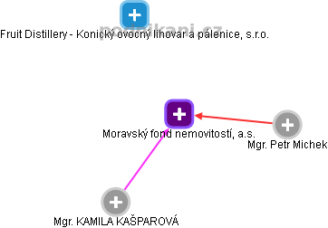 Moravský fond nemovitostí, a.s. - náhled vizuálního zobrazení vztahů obchodního rejstříku