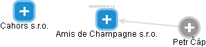 Amis de Champagne s.r.o. - náhled vizuálního zobrazení vztahů obchodního rejstříku