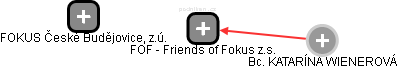 FOF - Friends of Fokus z.s. - náhled vizuálního zobrazení vztahů obchodního rejstříku