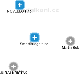 SmartBridge s.r.o. - náhled vizuálního zobrazení vztahů obchodního rejstříku