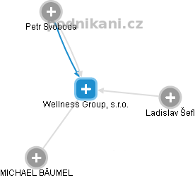 Wellness Group, s.r.o. - náhled vizuálního zobrazení vztahů obchodního rejstříku