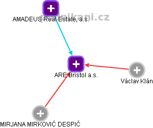 ARE Bristol a.s. - náhled vizuálního zobrazení vztahů obchodního rejstříku