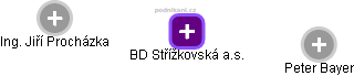 BD Střížkovská a.s. - náhled vizuálního zobrazení vztahů obchodního rejstříku
