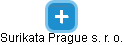 Surikata Prague s. r. o. - náhled vizuálního zobrazení vztahů obchodního rejstříku