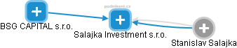 Salajka Investment s.r.o. - náhled vizuálního zobrazení vztahů obchodního rejstříku