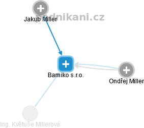 Bamiko s.r.o. - náhled vizuálního zobrazení vztahů obchodního rejstříku