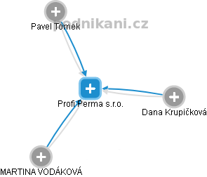 Profi Perma s.r.o. - náhled vizuálního zobrazení vztahů obchodního rejstříku