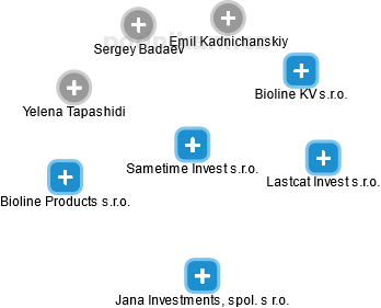 Sametime Invest s.r.o. - náhled vizuálního zobrazení vztahů obchodního rejstříku