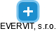 EVERVIT, s.r.o. - náhled vizuálního zobrazení vztahů obchodního rejstříku