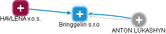 Bringgelin s.r.o. - náhled vizuálního zobrazení vztahů obchodního rejstříku