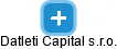 Datleti Capital s.r.o. - náhled vizuálního zobrazení vztahů obchodního rejstříku