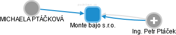 Monte bajo s.r.o. - náhled vizuálního zobrazení vztahů obchodního rejstříku