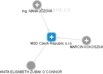MSD Czech Republic s.r.o. - náhled vizuálního zobrazení vztahů obchodního rejstříku