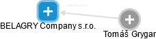 BELAGRY Company s.r.o. - náhled vizuálního zobrazení vztahů obchodního rejstříku