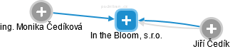 In the Bloom, s.r.o. - náhled vizuálního zobrazení vztahů obchodního rejstříku