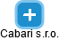 Cabari s.r.o. - náhled vizuálního zobrazení vztahů obchodního rejstříku