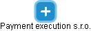 Payment execution s.r.o. - náhled vizuálního zobrazení vztahů obchodního rejstříku