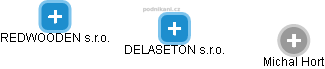DELASETON s.r.o. - náhled vizuálního zobrazení vztahů obchodního rejstříku