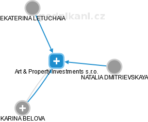 Art & Property Investments s.r.o. - náhled vizuálního zobrazení vztahů obchodního rejstříku