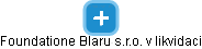 Foundatione Blaru s.r.o. v likvidaci - náhled vizuálního zobrazení vztahů obchodního rejstříku