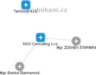 NGO Consulting s.r.o. - náhled vizuálního zobrazení vztahů obchodního rejstříku