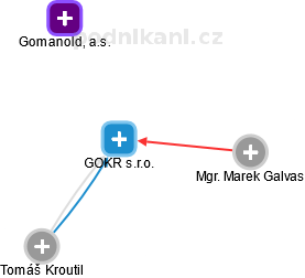 GOKR s.r.o. - náhled vizuálního zobrazení vztahů obchodního rejstříku