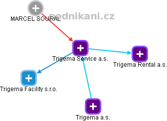 Trigema Service a.s. - náhled vizuálního zobrazení vztahů obchodního rejstříku