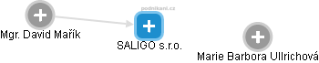 SALIGO s.r.o. - náhled vizuálního zobrazení vztahů obchodního rejstříku