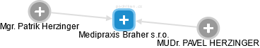 Medipraxis Braher s.r.o. - náhled vizuálního zobrazení vztahů obchodního rejstříku
