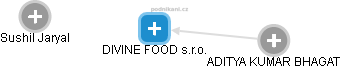 DIVINE FOOD s.r.o. - náhled vizuálního zobrazení vztahů obchodního rejstříku