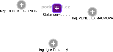 Stelar service a.s. - náhled vizuálního zobrazení vztahů obchodního rejstříku