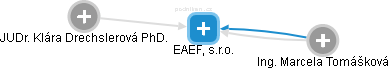 EAEF, s.r.o. - náhled vizuálního zobrazení vztahů obchodního rejstříku