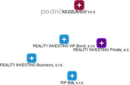 REALITY INVESTING VIP-Bond, s.r.o. - náhled vizuálního zobrazení vztahů obchodního rejstříku