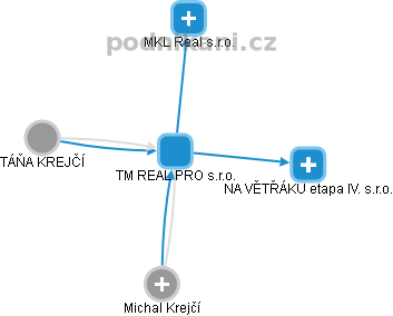 TM REAL PRO s.r.o. - náhled vizuálního zobrazení vztahů obchodního rejstříku