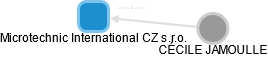 Microtechnic International CZ s.r.o. - náhled vizuálního zobrazení vztahů obchodního rejstříku
