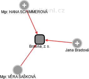Brašna, z. s. - náhled vizuálního zobrazení vztahů obchodního rejstříku